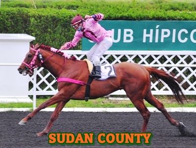ejemplar SUDAN COUNTY