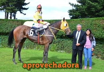 aprovechadora