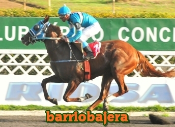 barriobajera