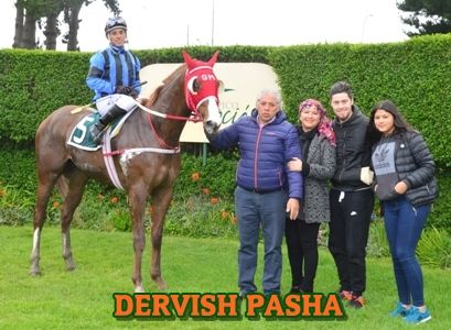 ejemplar DERVISH PASHA