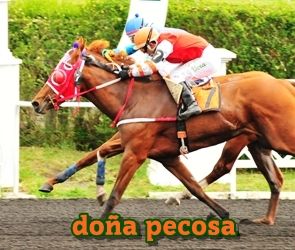 doa pecosa