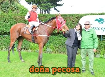 doa pecosa