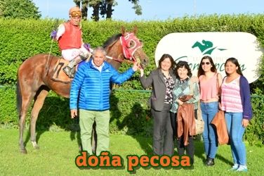 doa pecosa