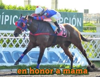 en honor a mama