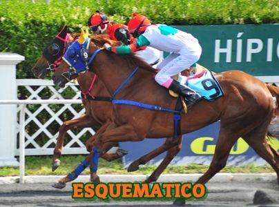 ejemplar ESQUEMATICO