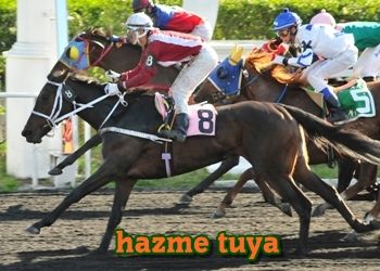 hazme tuya