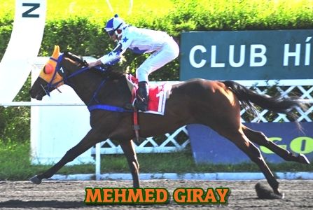 ejemplar MEHMED GIRAY