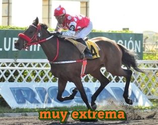 muy extrema