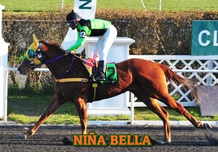 ejemplar NIA BELLA