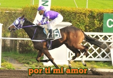 por ti mi amor