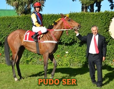 ejemplar PUDO SER