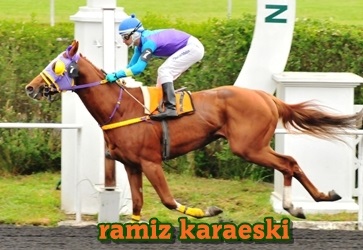 ramiz karaeski