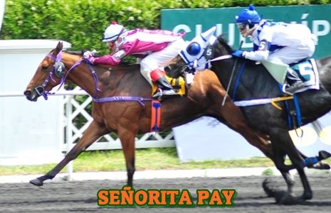 ejemplar SEORITA PAY
