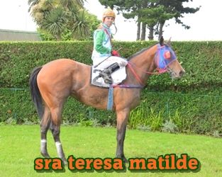 sra teresa matilde