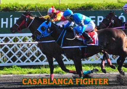 ejemplar CASABLANCA FIGHTER