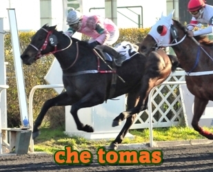 che tomas