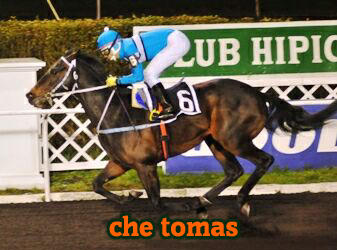 che tomás