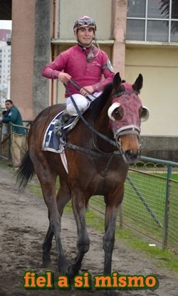 ejemplar caballo fiel a si mismo