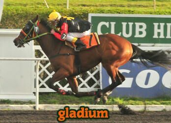 gladium