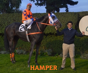 ejemplar HAMPER