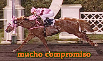 mucho compromiso