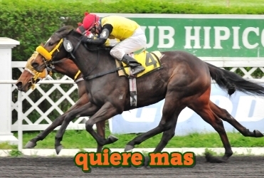 quiere mas