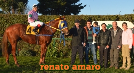 renato amaro