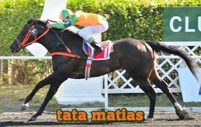 tata matías