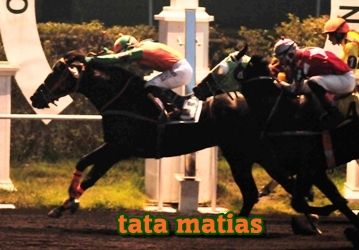ejemplar caballo tata matias